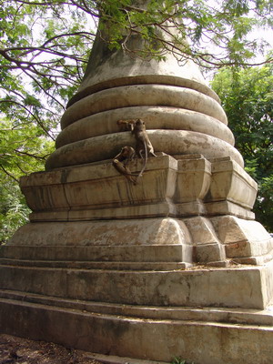 spielende Affen auf einer Stupa, Wat Phnom